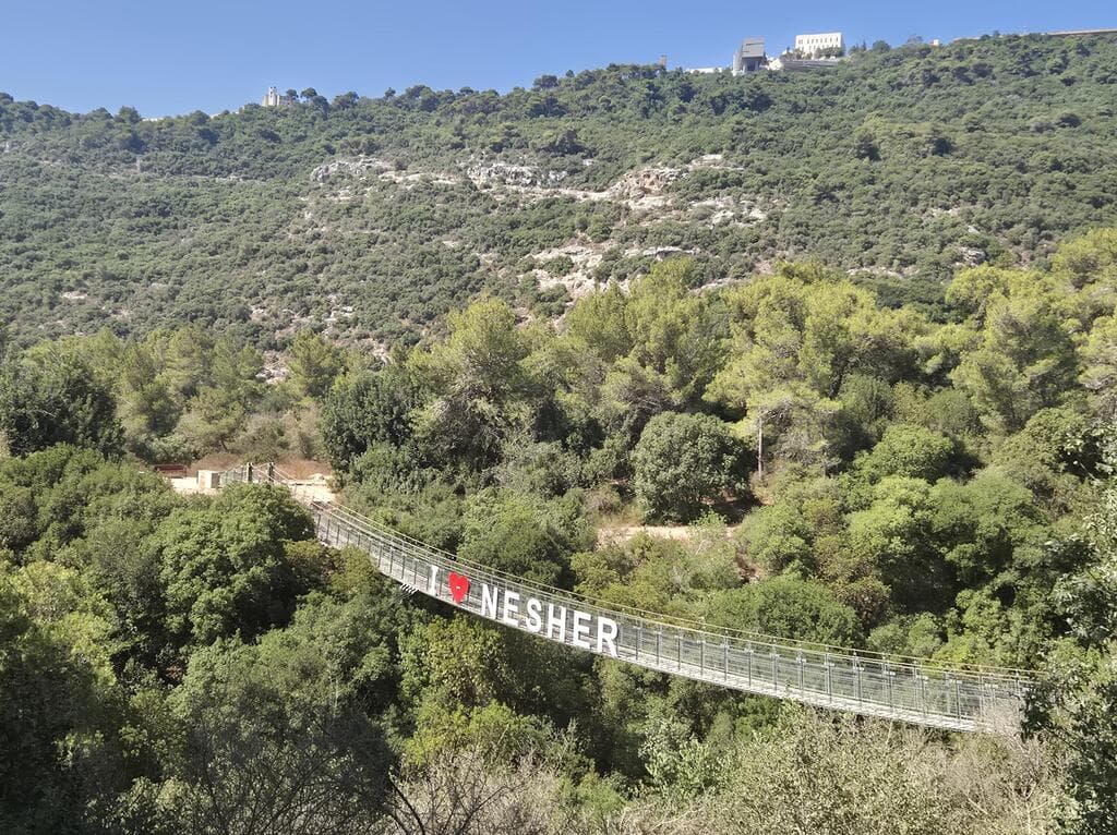 נשר, פארק הגשרים התלוים (צילום: צביקה בורג) נשר, פארק הגשרים התלוים