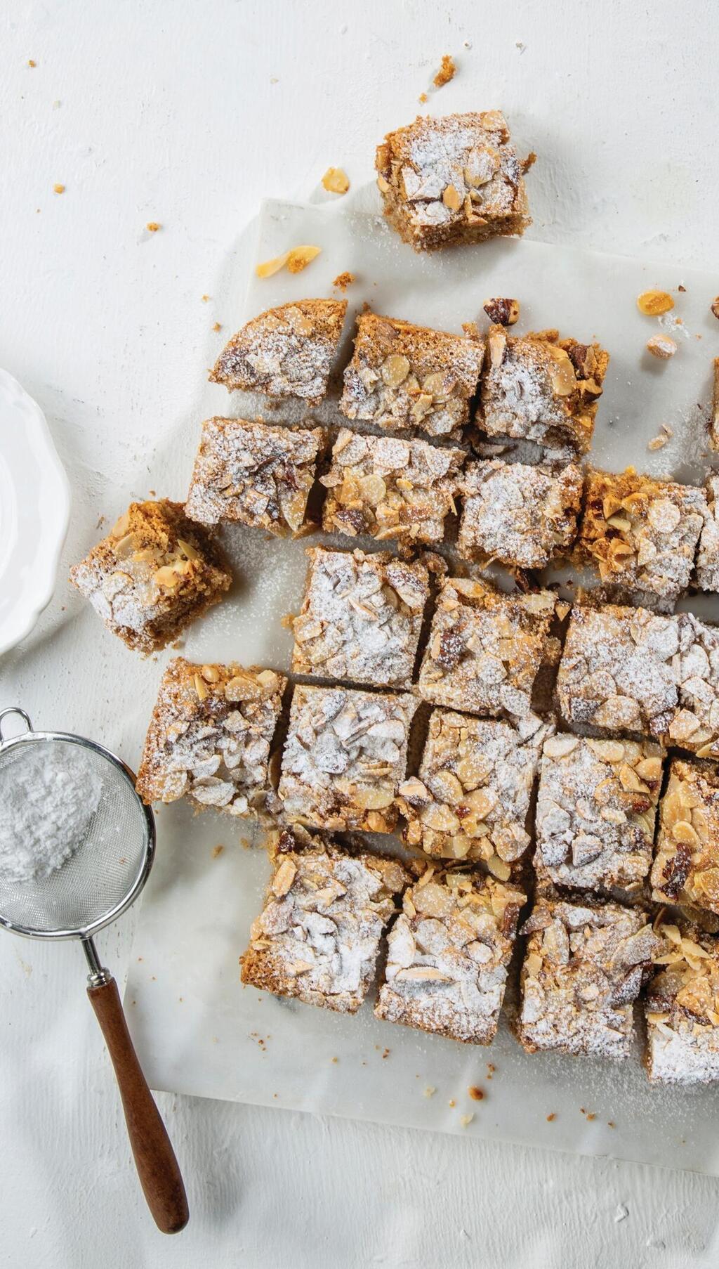 צילום: בועז לביא