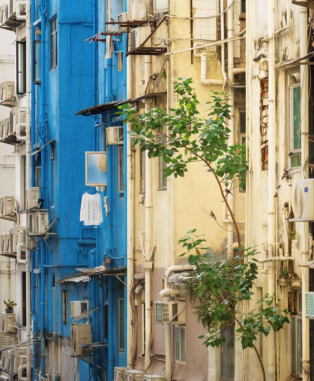 28 Lok Kwan Street, Tai Kok Tsui, 2023