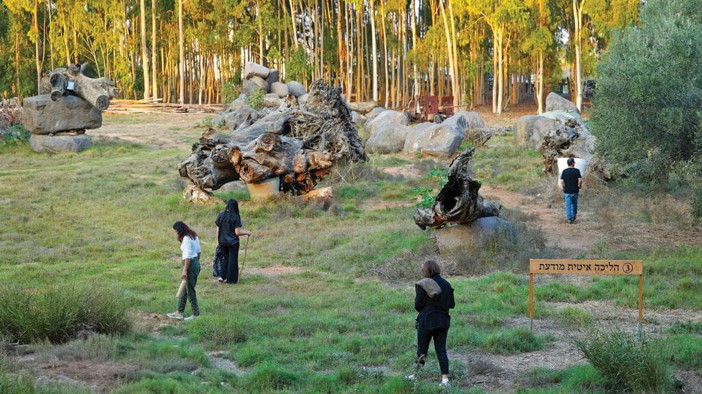 טיפול קבוצתי ביער