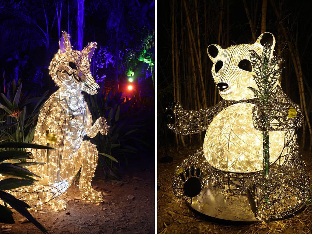 פסטיבל האור הבינלאומי לומג'יקה מגיע לגן הטרופי בגני יהושע בתל אביב (צילום: סאן פרג', Mk-illumination) פסטיבל האור הבינלאומי LUMAGICA מגיע לגן הטרופי בגני יהושע בתל אביב