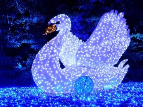 פסטיבל האור הבינלאומי לומג'יקה. צורך חשמל בעוצמה של 4 קומקומים חשמליים בלבד פסטיבל האור הבינלאומי לומג'יקה. צורך חשמל בעוצמה של 4 קומקומים חשמליים בלבד