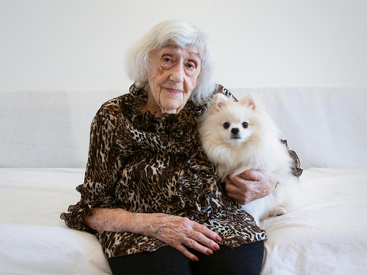 הני שקולניק