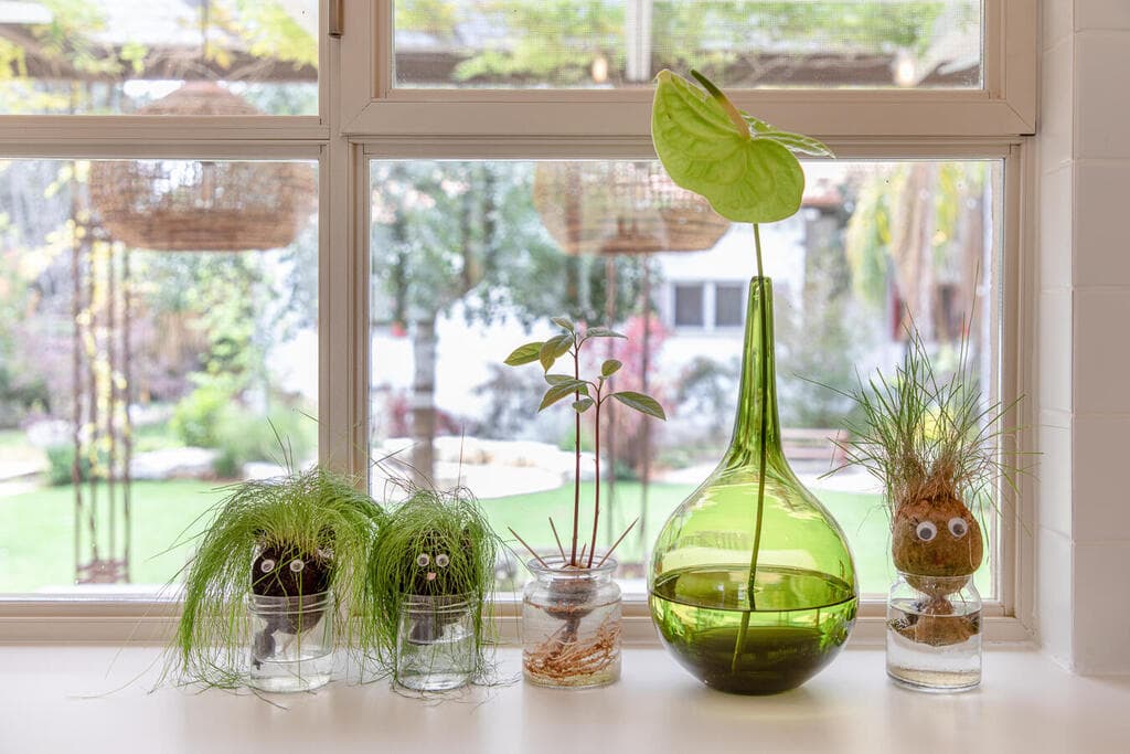 הבית במושב בשרון, קיבוצור, תכנון ועיצוב: סטודיו דו