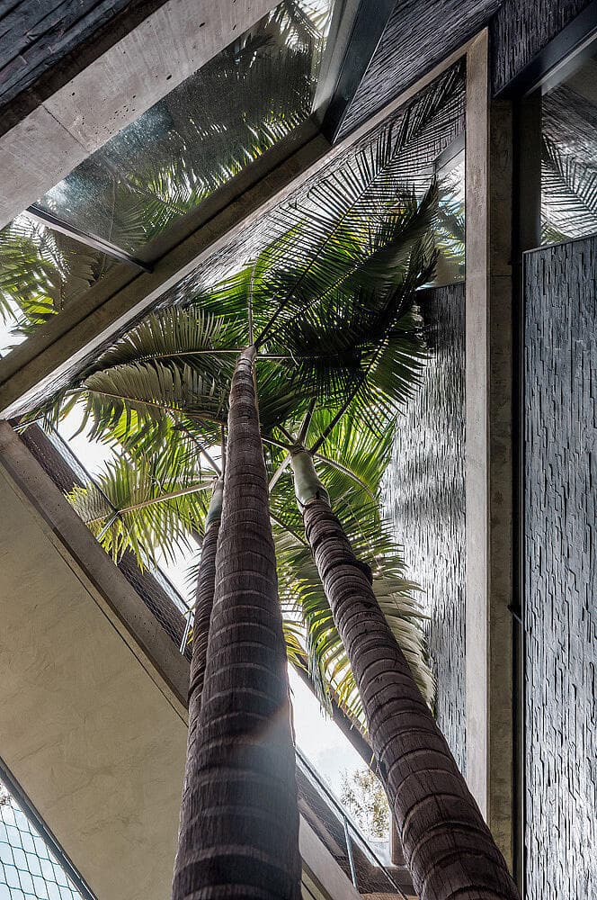 הפטיו המשולש (צילום: שי אפשטיין) וילה בשרון, אדריכלות ועיצוב: נורית בן יוסף