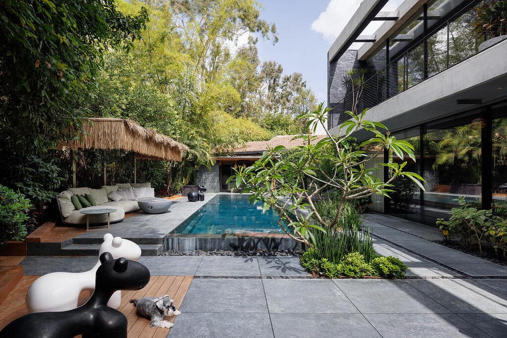 כך נראית הגינה מהצד. גן טרופי נושק לבטון (צילום: שי אפשטיין) וילה בשרון, אדריכלות ועיצוב: נורית בן יוסף