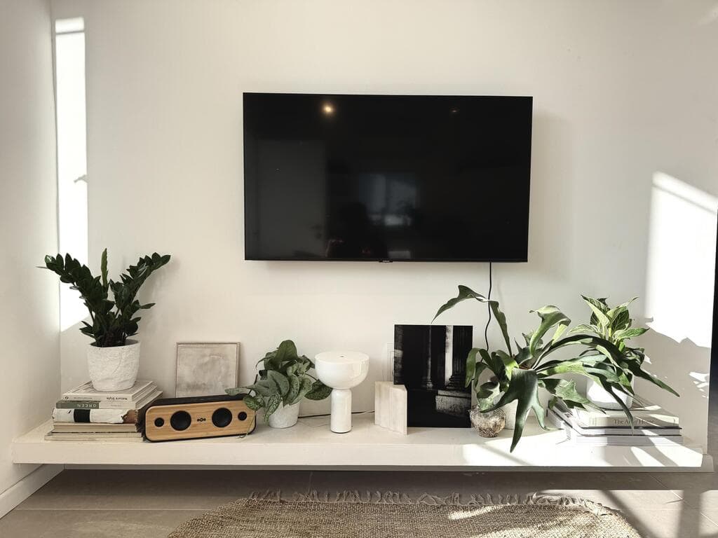 אלופי ההישרדות. מימין לשמאל: פילדנדרום בירקין, שרך קרן אייל, סקנדנס פיקטוס, זמיוקולקס (צילום: אמיר עבדת) מימין - פילדנדרום בירקין, שרך קרן אייל , סקנדנס פיקטוס, זמיהקולקס