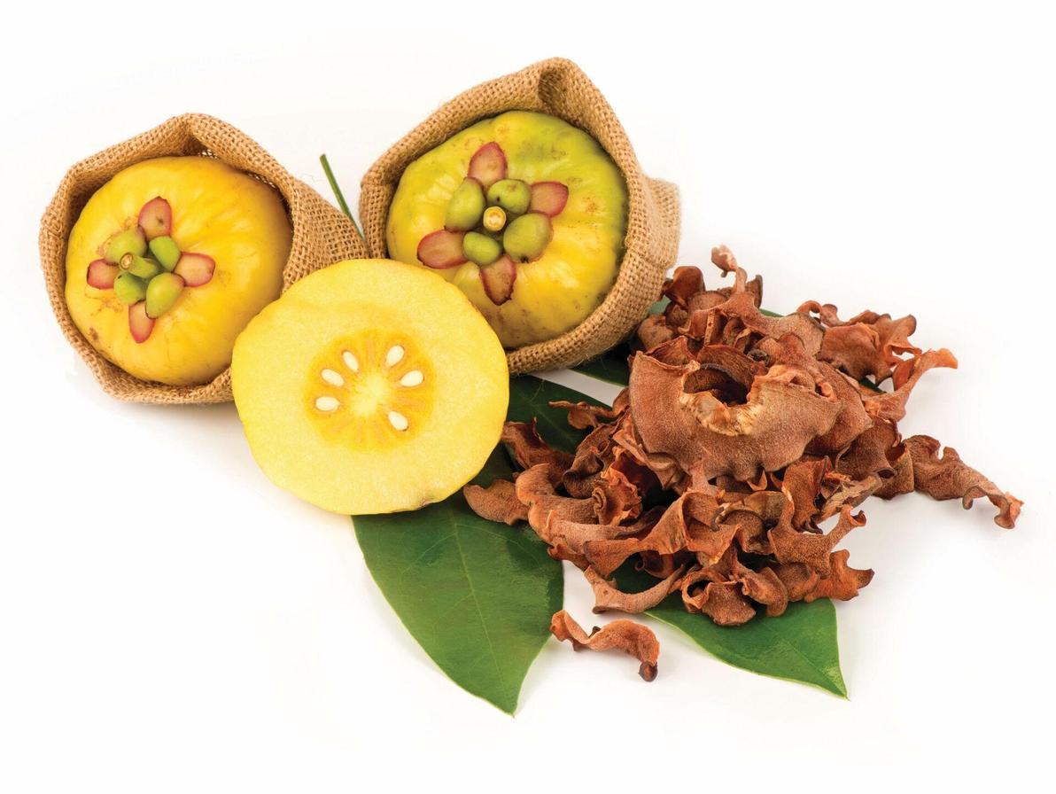 גרסיניה. גדלה בעיקר בדרום הודו ובדרום-מזרח אסיה (צילום: Shutterstock/ASAP Creative ) גרסיניה. גדלה בעיקר בדרום הודו ובדרום-מזרח אסיה