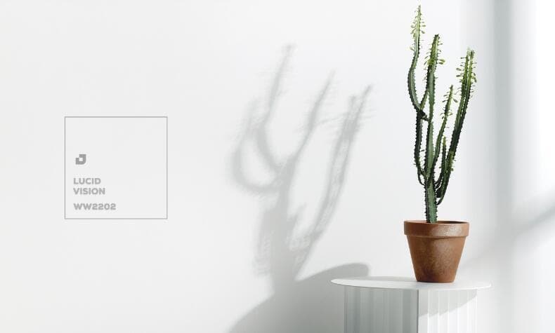 טמבור צבע השנה 2026 (צילום: רונן מנגן, סטיילינג: עמית פרבר) טמבור צבע השנה 2026