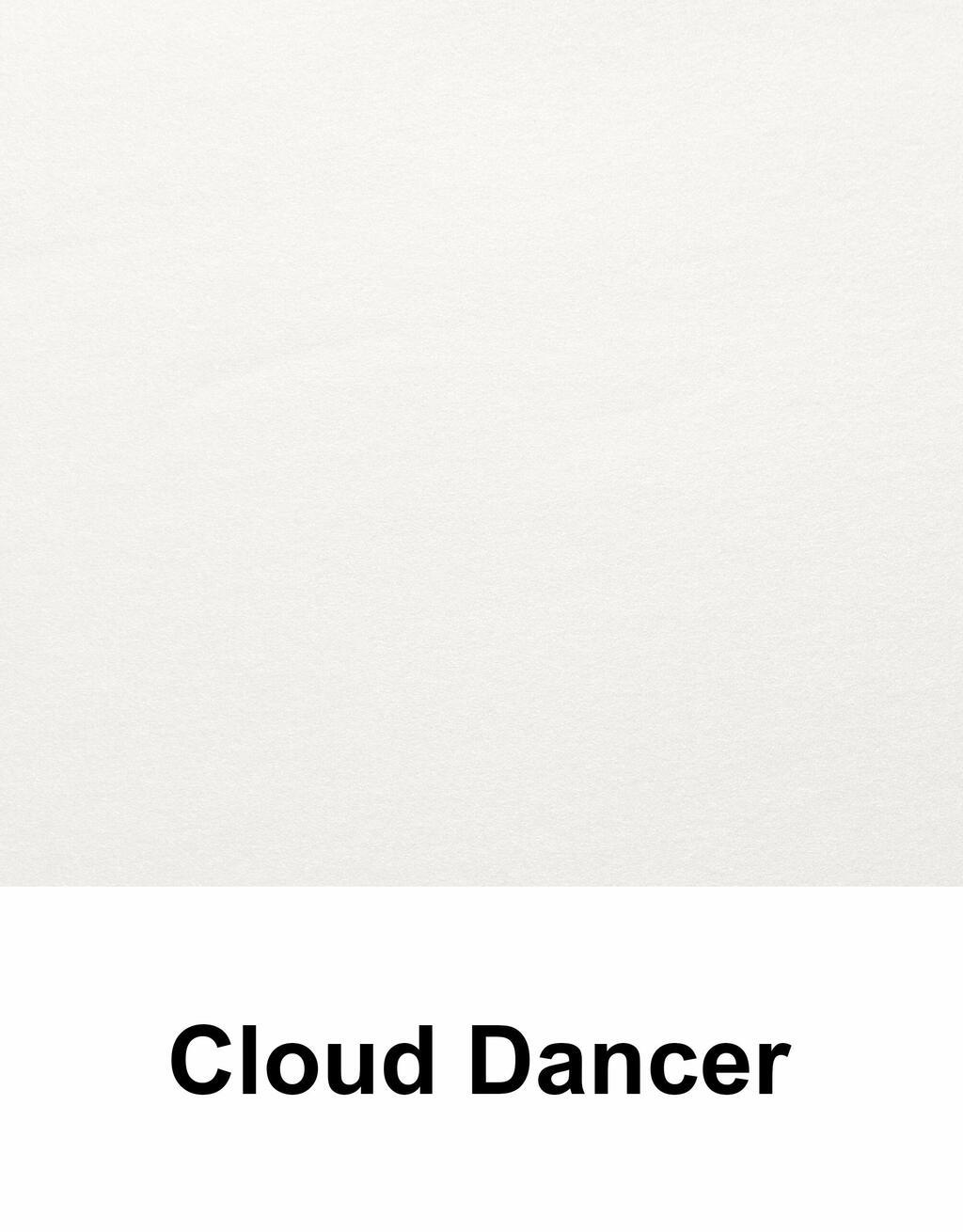 צבע השנה של פנטון, Cloud Dancer color of 2026 year, off-white (צילום: valiantsin suprunovich, shutterstock) צבע השנה של פנטון, Cloud Dancer color of 2026 year, off-white