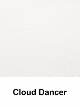 צבע השנה של פנטון, Cloud Dancer color of 2026 year, off-white