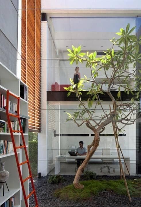 מחקי שקיפות ופרופורציות (צילום: עמית גרון) בית על שטח של דונם בחיפה, בתכנון פיצו קדם אדריכלים