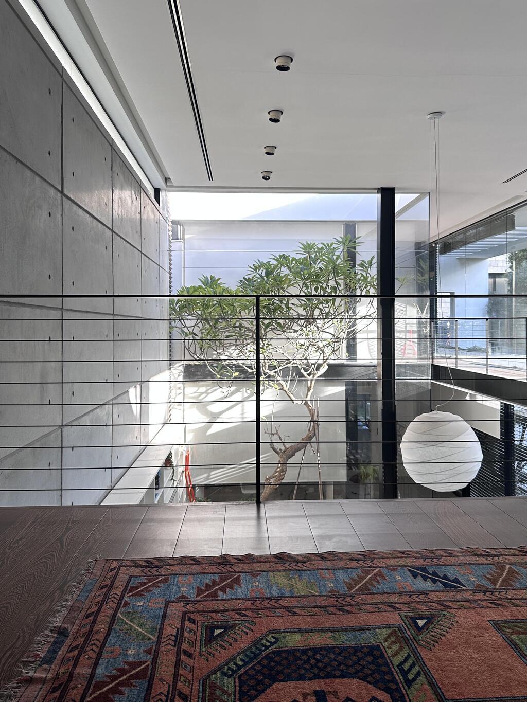 הפטיו במרכז הבית (צילום: נועם דהן) בית על שטח של דונם בחיפה, בתכנון פיצו קדם אדריכלים