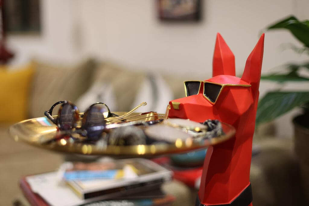 פסל כלב עם מגש מאתר TEMU (צילום: יריב כץ) הבית של מעצב התלבושות יובל כספין