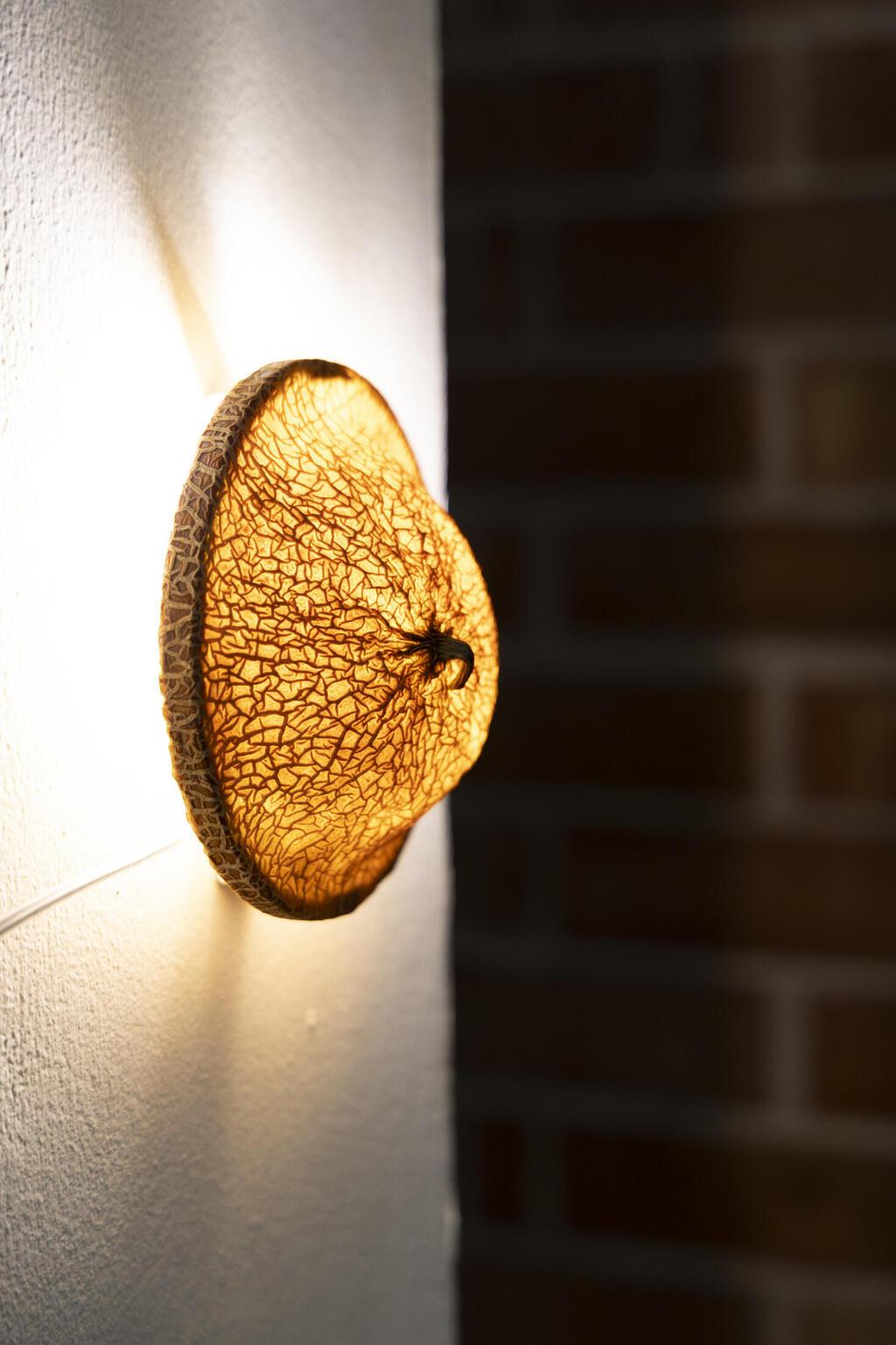 יולי מרוז, סטודיו o peel - מנורה מקליפת מלון (צילום: נועה קורץ כהן) יולי מרוז, סטודיו o peel - מנורת מלון