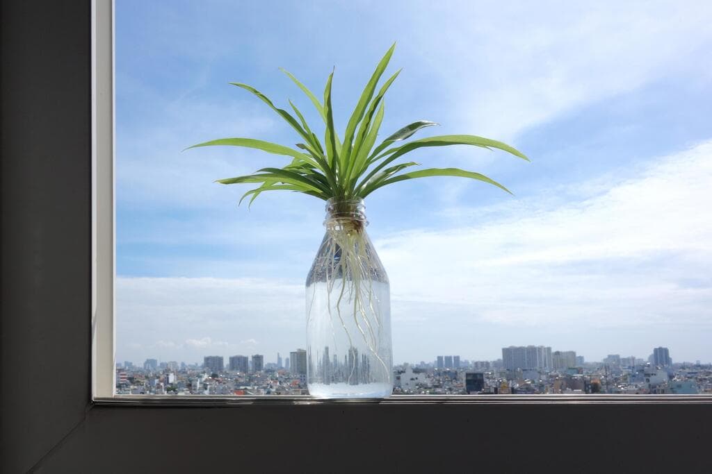 לא מומלץ להניח כלי זכוכית על אדן החלון