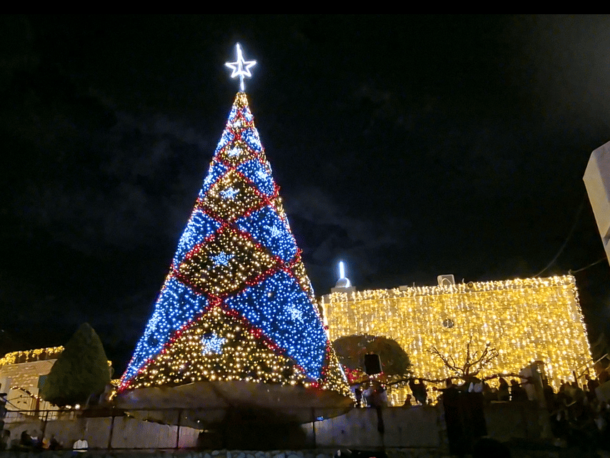 פסוטה, עץ חג המולד. אירופה בגליל המערבי