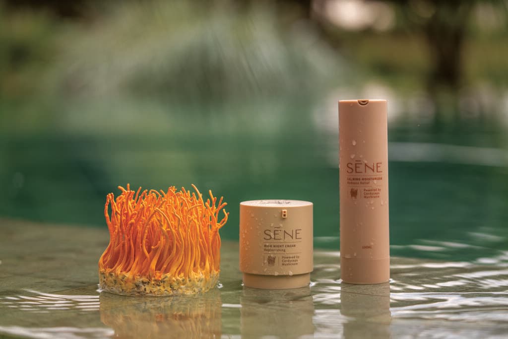 חדש ומבטיח בשוק הביוטי. Sene