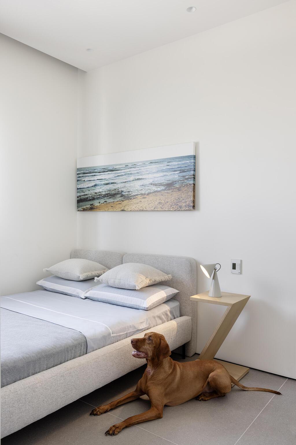 שדרוג דירת קבלן לאב גרוש ולבניו, עיצוב: צביה קזיוף