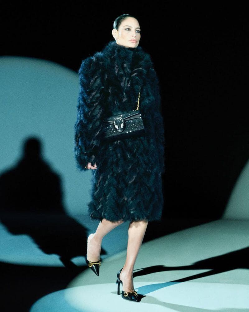 שרון גניש לגוצ'י