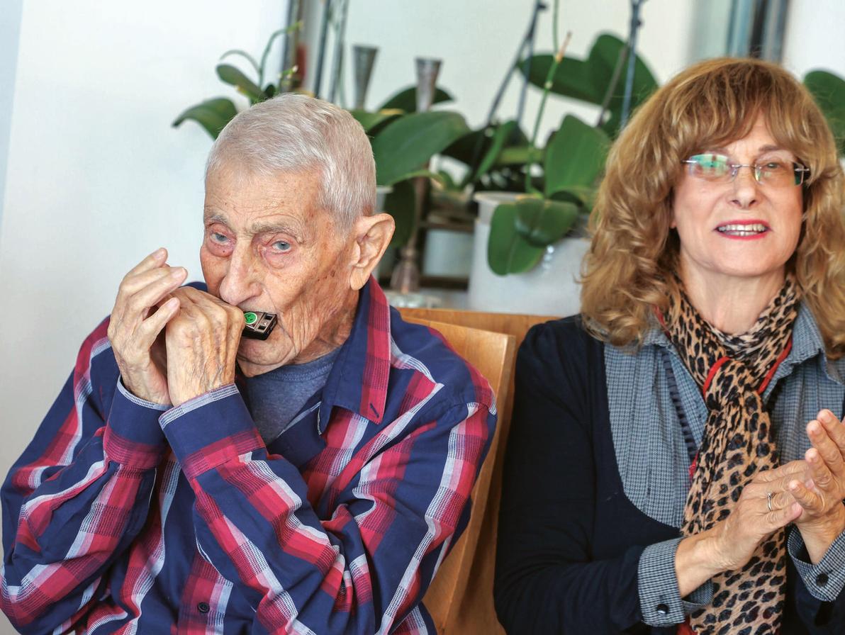 מאיר הרצברג