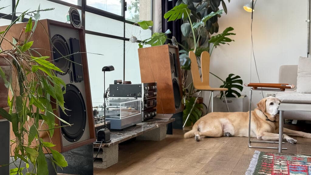 הדירה של שאולי ועומרי בשכונת שפירא, כאן גרים