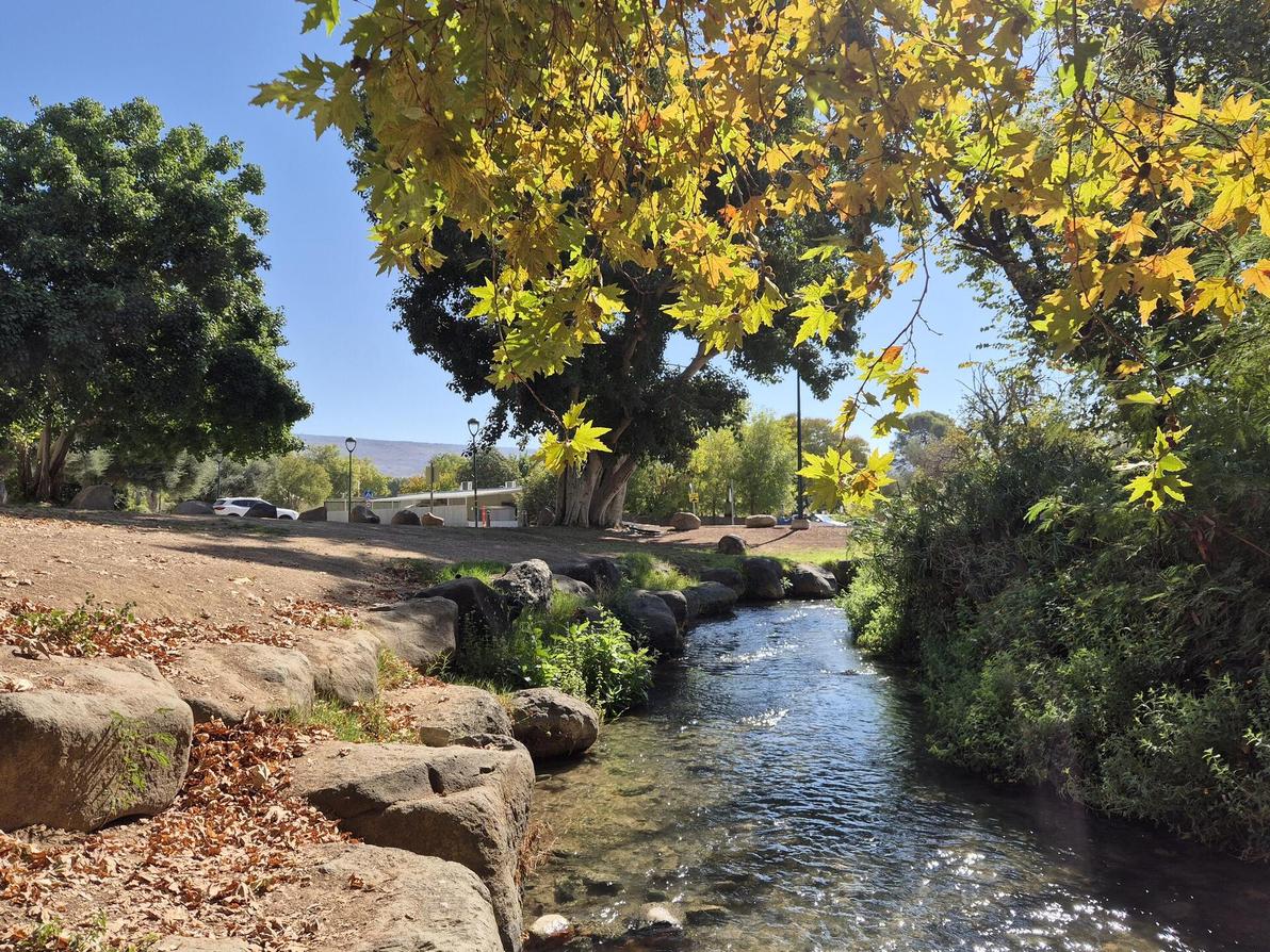 דפנה. טבע אמיתי בלב הקיבוץ