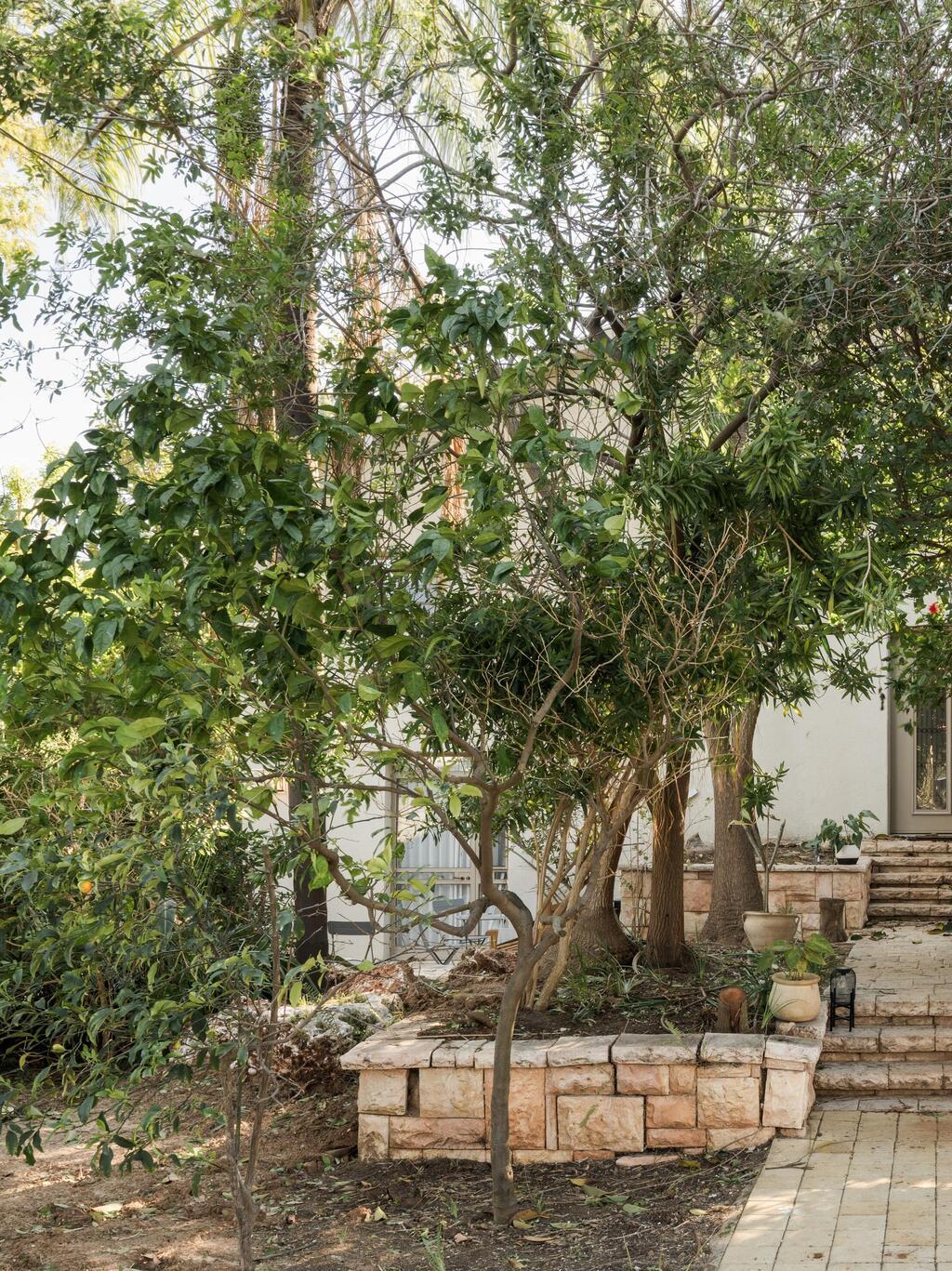 הבית של קרן פלס