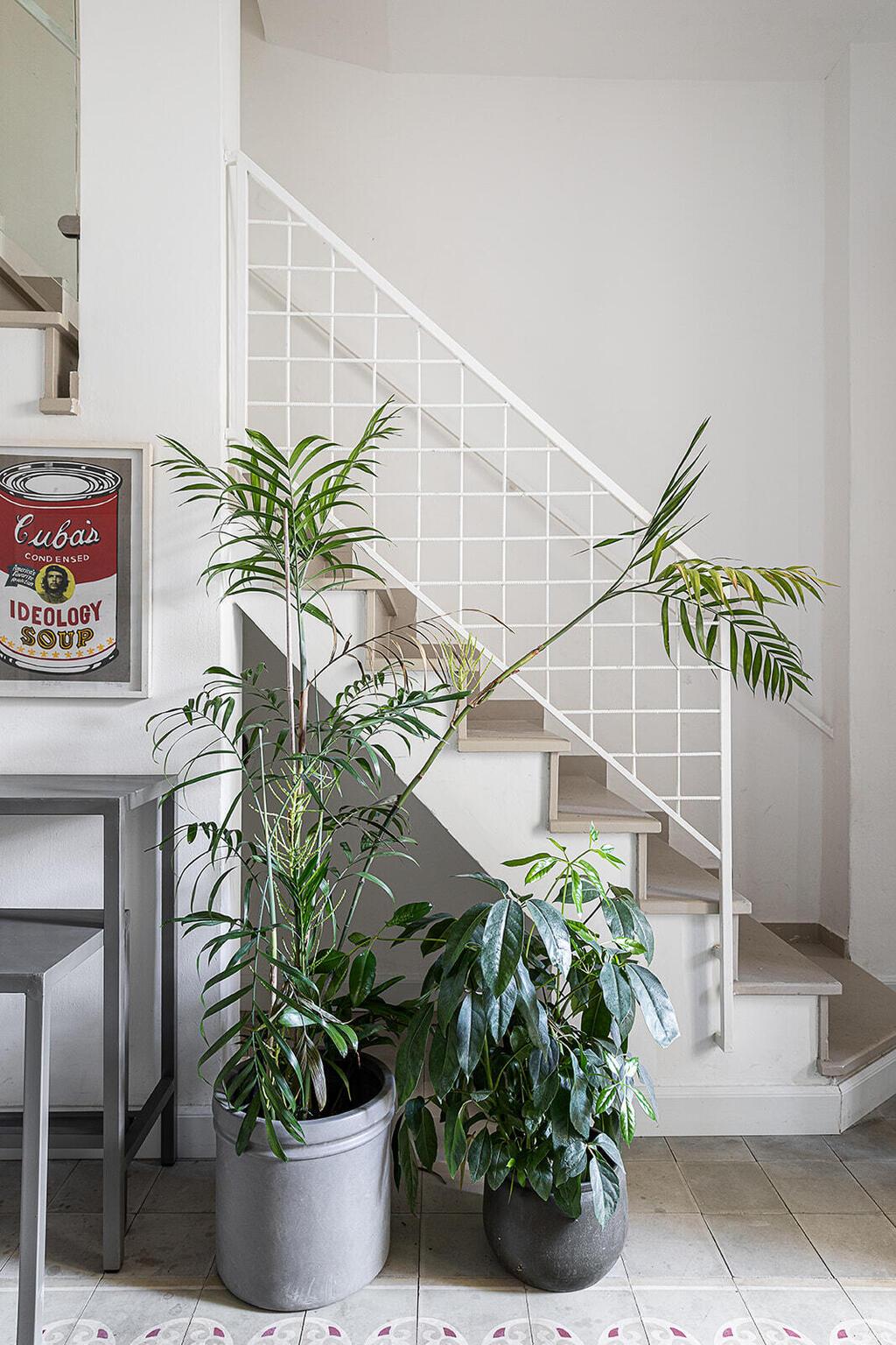 בית בלי מסדרונות. המדרגות (צילום: גדי יוסף) בית בנווה צדק, עיצוב: נעמה רודין אשר