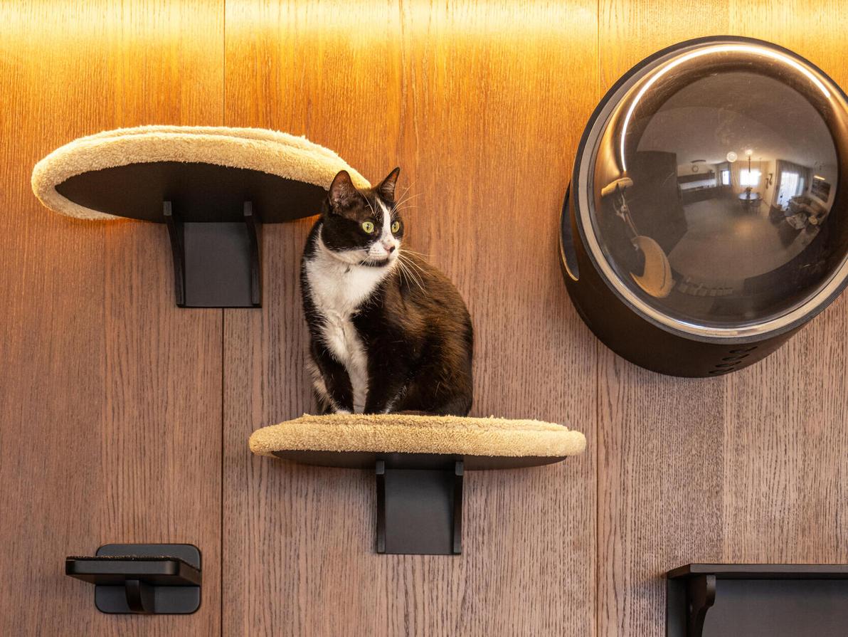 דירה לשוטר רווק, עיצוב: דותן ויסמין כהן