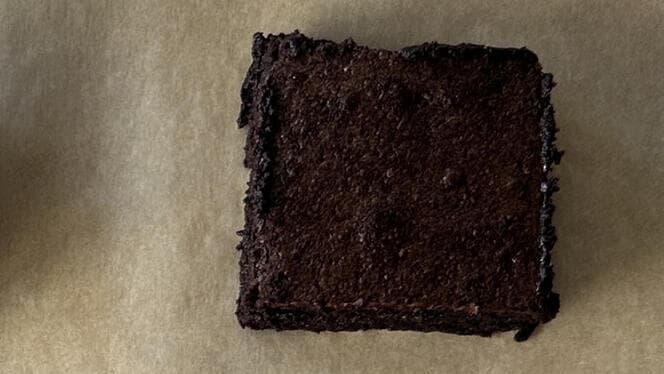 רק קקאו (צילום: ליאור משיח) בראוניז מנצח