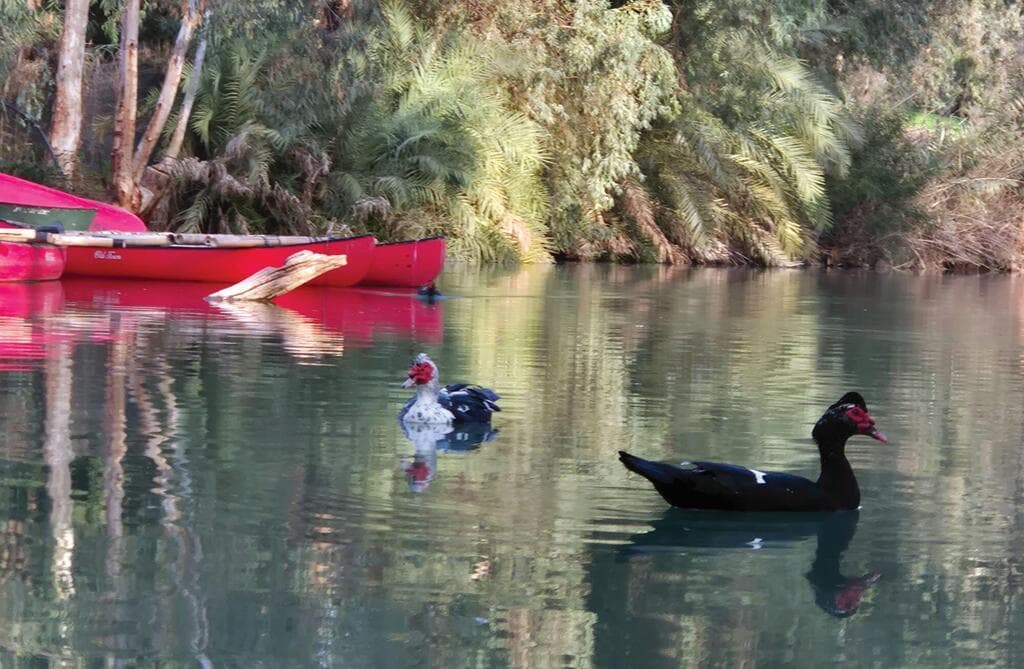 רוב רוי, נהר הירדן. חוויה על המים
