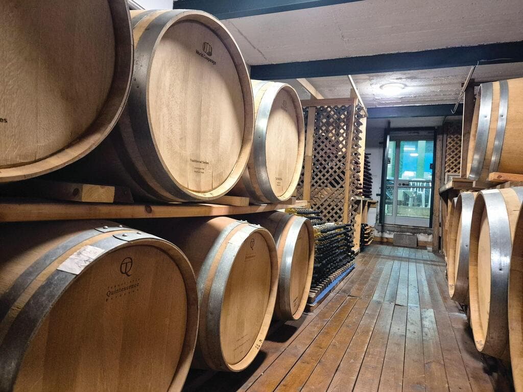 יקב ברניקי. טעימות יין מודרכות