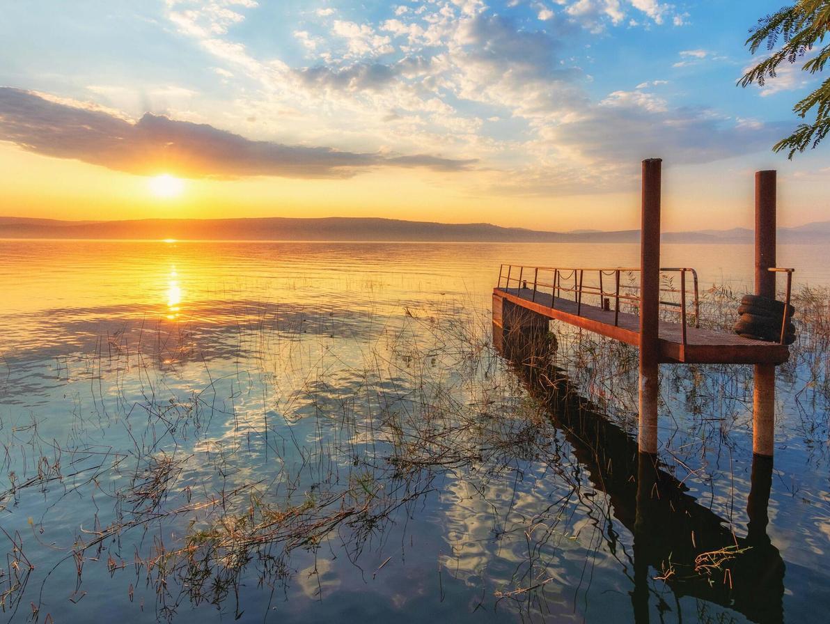 עין גב, שקיעה בנמל. השעה היפה באגם הלאומי (צילום: Shutterstock/ASAP Creative/Alexander Ingerman ) עין גב, שקיעה בנמל. השעה היפה באגם הלאומי