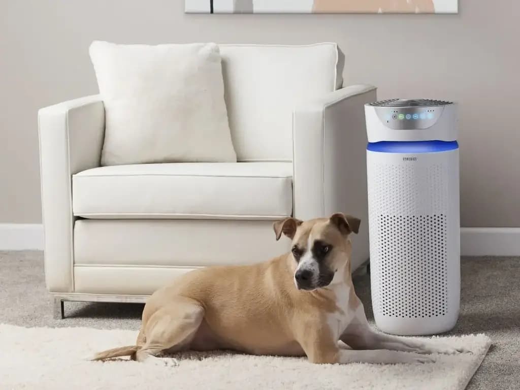 מטהר אוויר חכם לחללים של עד 60 מ"ר. מכניס תחושת רעננות ואוויר "חדש" גם לחדר אטום (צילום: יח"צ Xiaomi) מטהר אוויר חכם Smart Air Purifier 4 Pro שלXiaomi מכשיר מעוצב שמטהר במהירות חללים עד 60 מ"ר ומכניס תחושת רעננות ואוויר "חדש" גם לחדר אטום