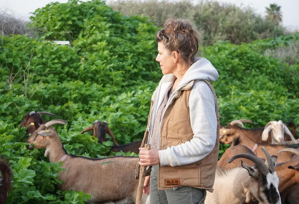 אילה שבח, "דיר באלכ'", עם עדר העזים. טעימת גבינות ויציאה למרעה עם העזים