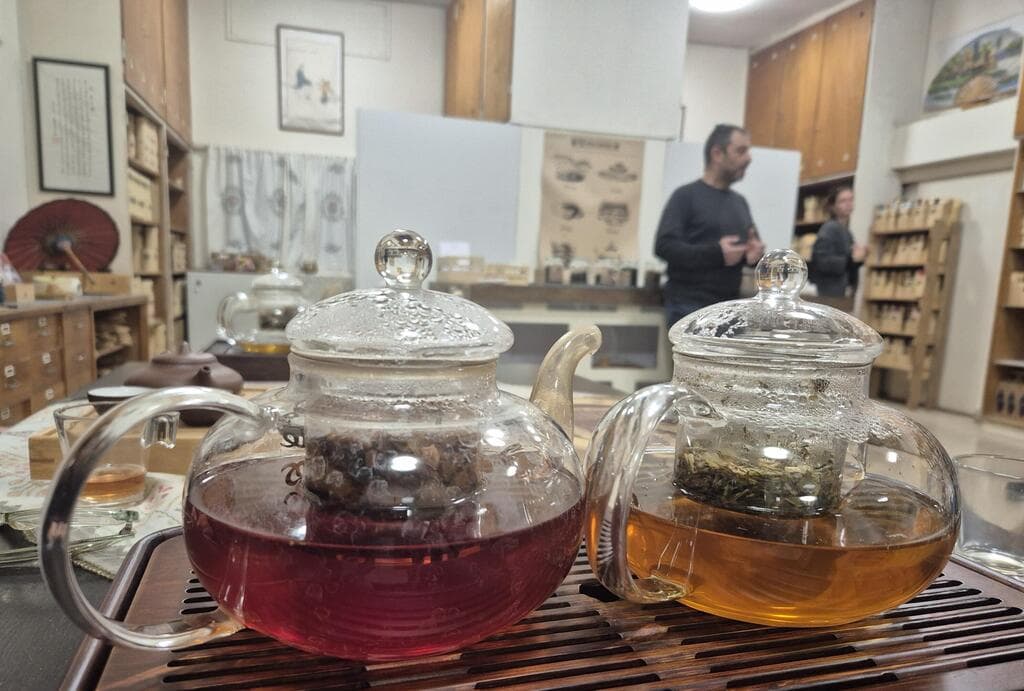 TE, בית אלפא. התמחות בתה אמיתי