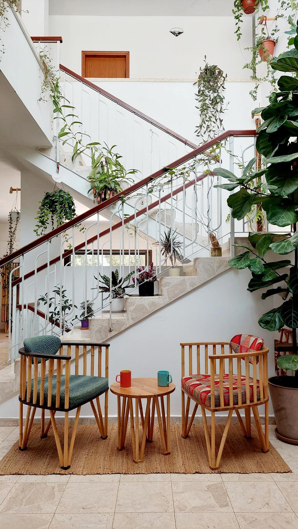 רהיטי במבוק בעיצוב אודי יהב