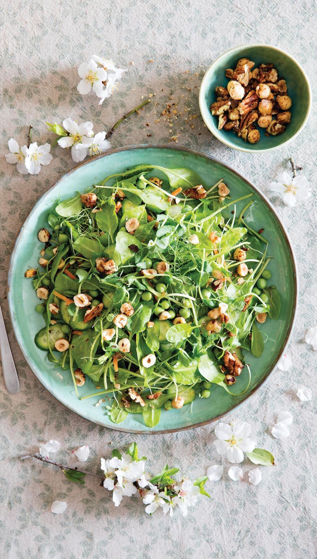 סלט ירוק עם אגוזים בקרמל חריף־מתוק (צילום: יוסי סליס, סגנון: נטשה חיימוביץ') סלט ירוק עם אגוזים בקרמל חריף־מתוק