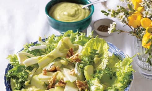 סלט ירוק ברוטב אבוקדו