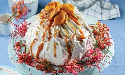 פבלובה בסגנון בנופי