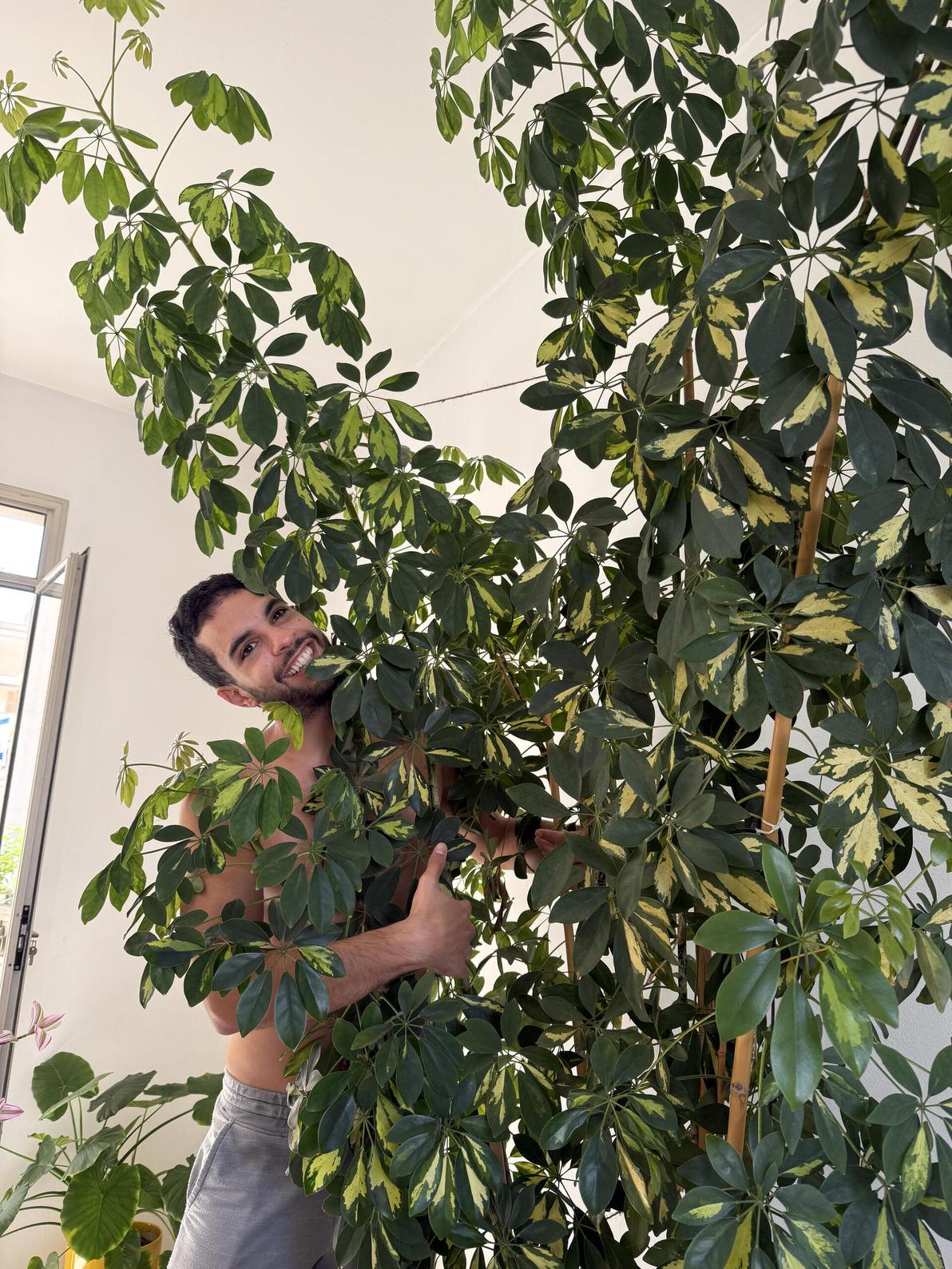 דניאל בנטל (צילום: אלבום פרטי) דניאל בנטל