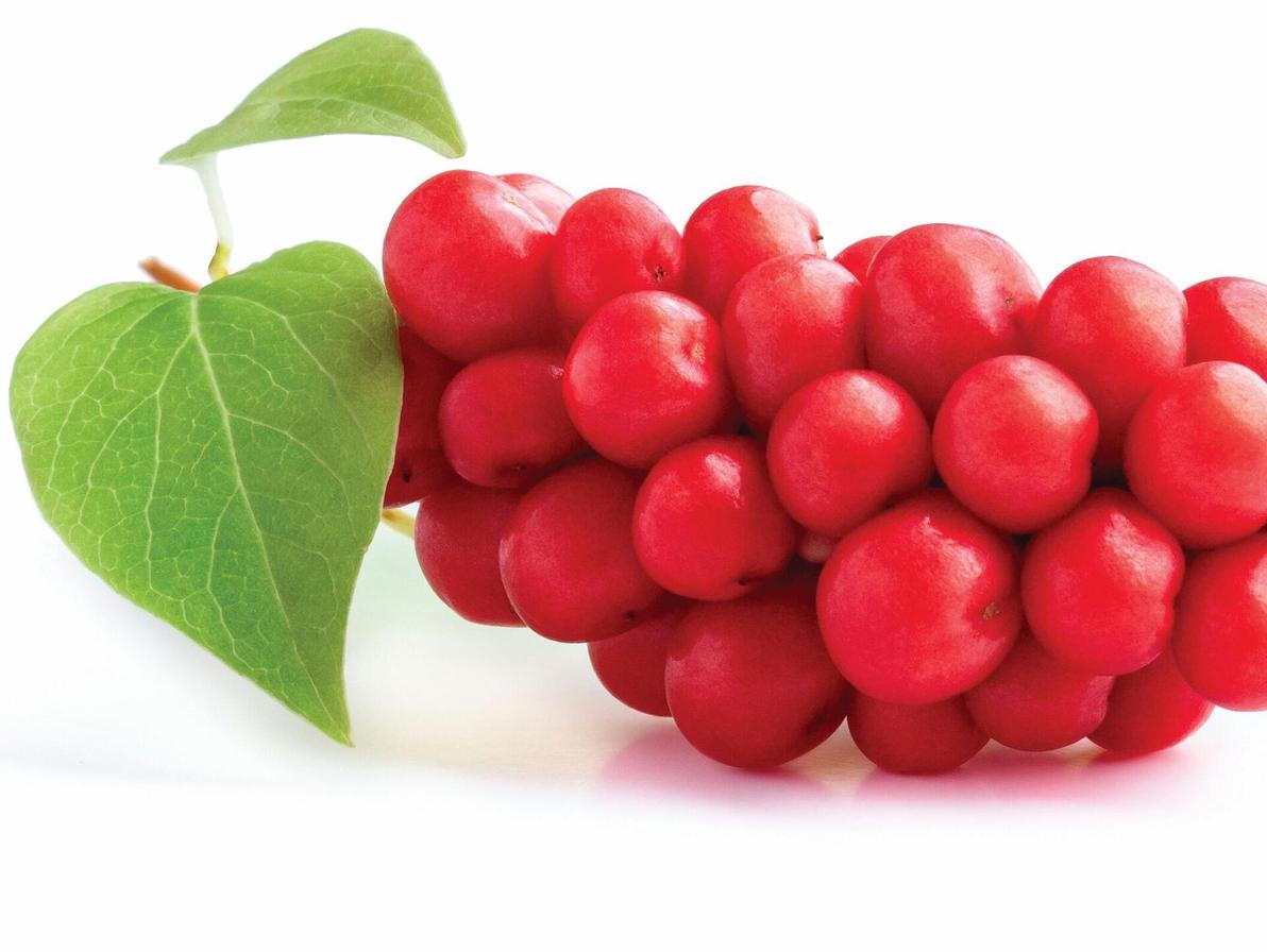 הסכיזנדרה. מסייע לכבד לפרק רעלים וזה שלב חיוני בדרך לצמצום השומן הבטני