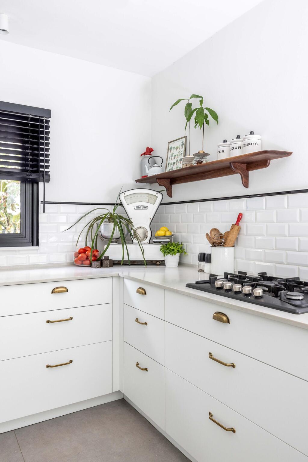 הבית של אתי לב-כץ