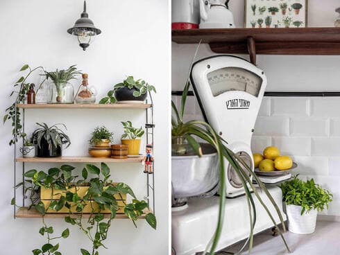 דירת 125 מ"ר ברמת השרון שעברה שיפוץ מהיסוד