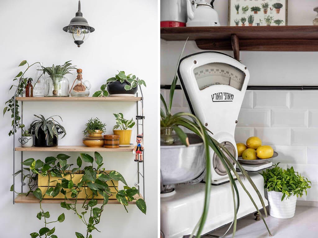 הבית של אתי לב-כץ