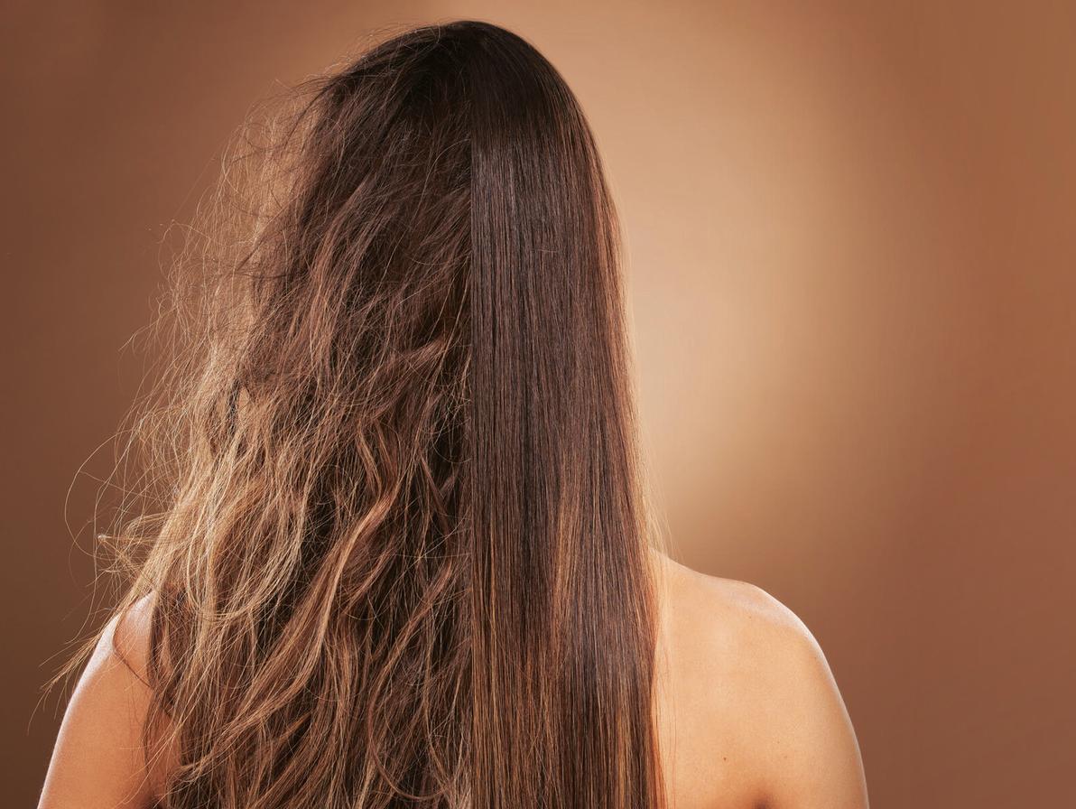 החלקת שיער ברזילאית הטבעונית