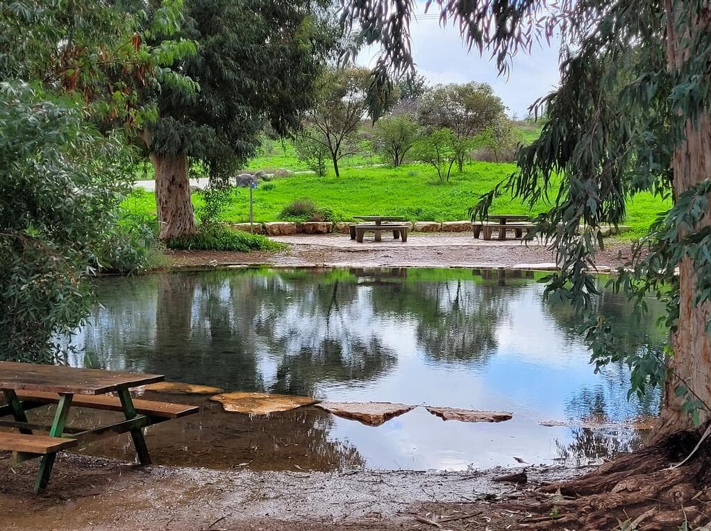 עמק המעיינות. הגיעו מוקדם בבוקר כדי להספיק לטבול בבריכות של עין מודע ועין שוקק