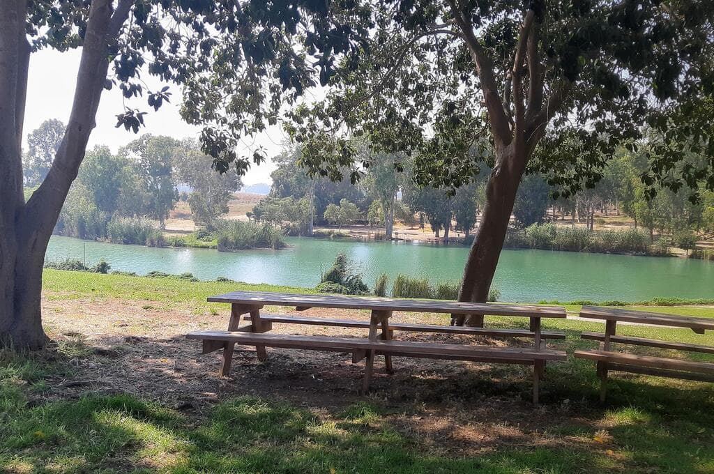 פארק מקורות הירקון. הרבה צל, לא מעט מים וקרוב למרכז הארץ