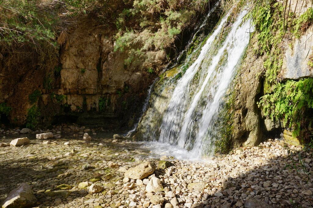 שמורת עין גדי, נחל דוד. נווה מדבר יפהפה 